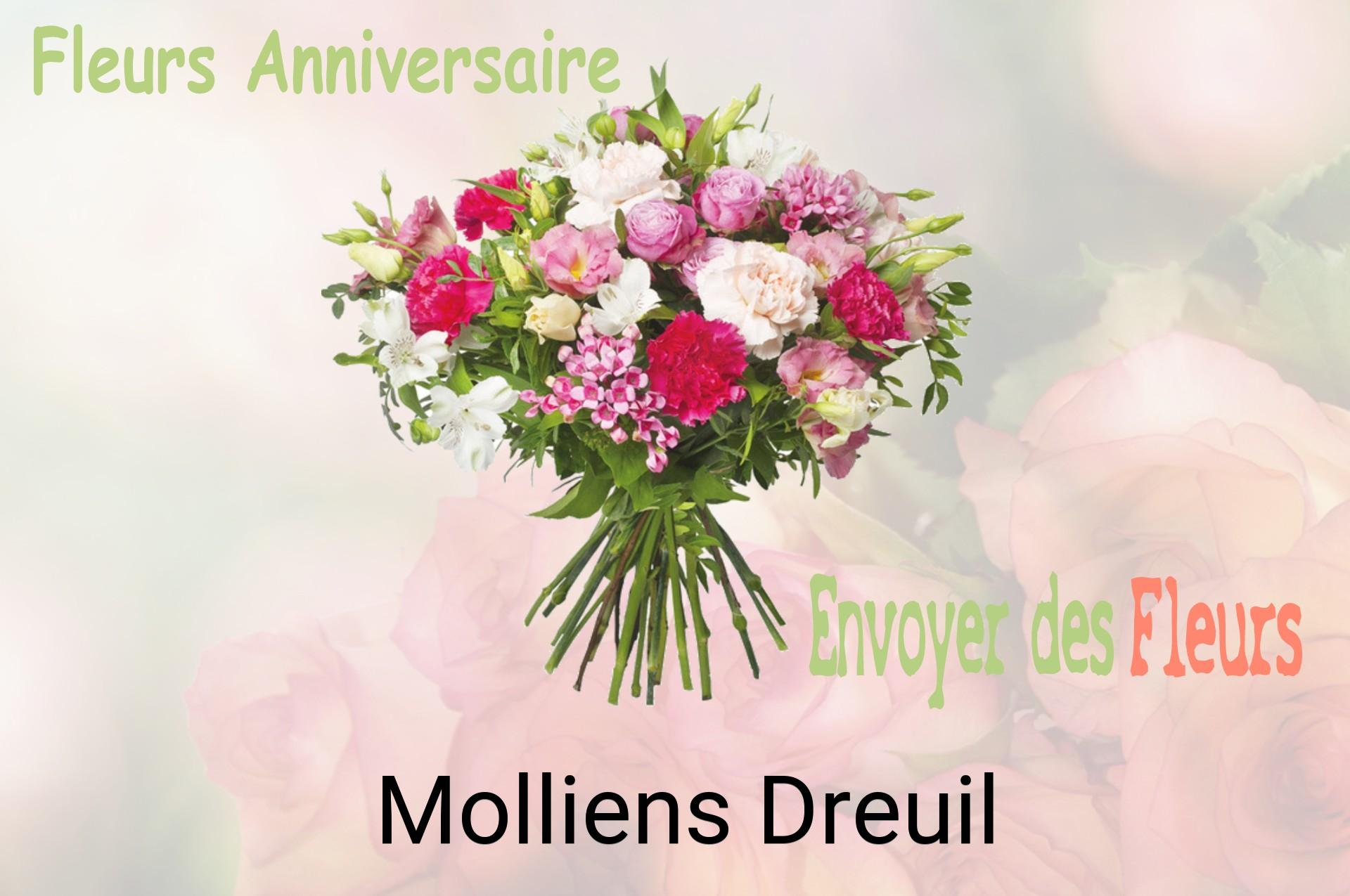 Bouquet de fleurs d’anniversaire livré à Molliens-Dreuil