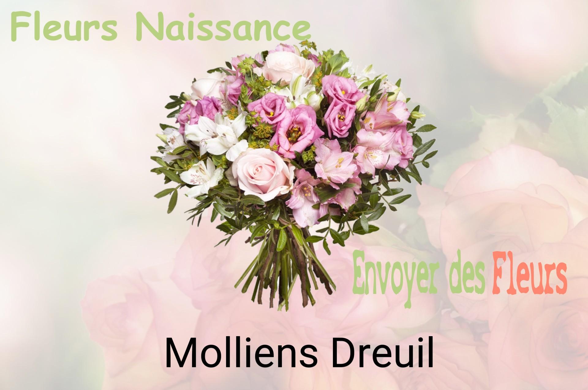 Bouquet de fleurs de naissance livré à Molliens-Dreuil